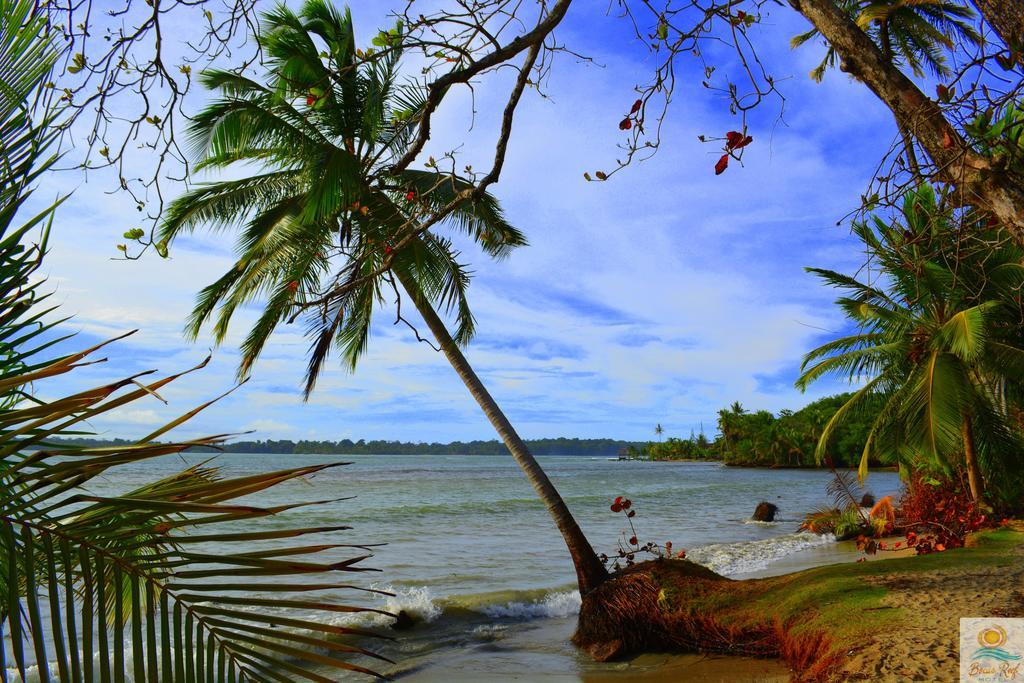 Bocas Reef Hotel Bocas del Toro Buitenkant foto